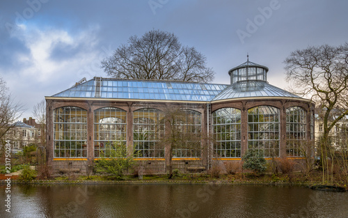 Photography Historic greenhouse hortus botanicus Amsterdam