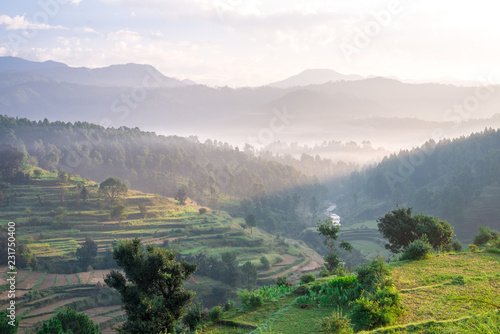 Sunrise - Stepping Fields in Bageshwar, Uttrakhand, India  photo