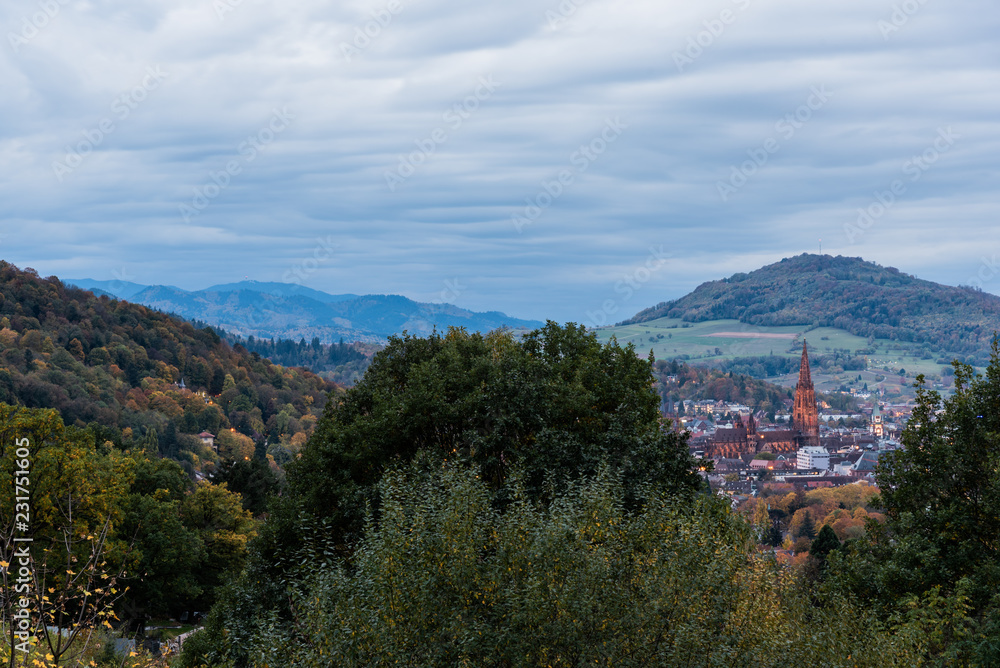 Freiburg Munster infront of hill