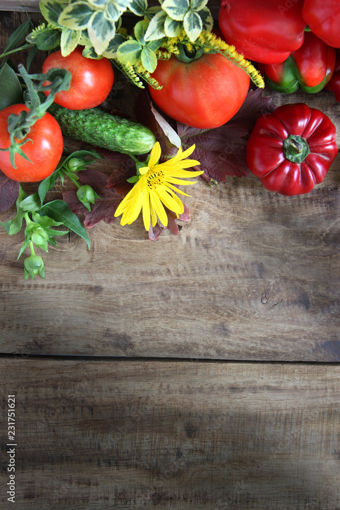 fresh vegetables on wooden background fresh vegetables on wooden background