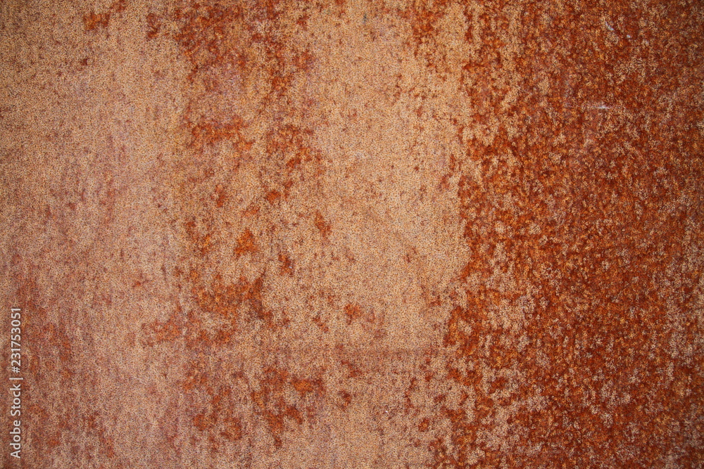 TEX-009-L TEX-009-L