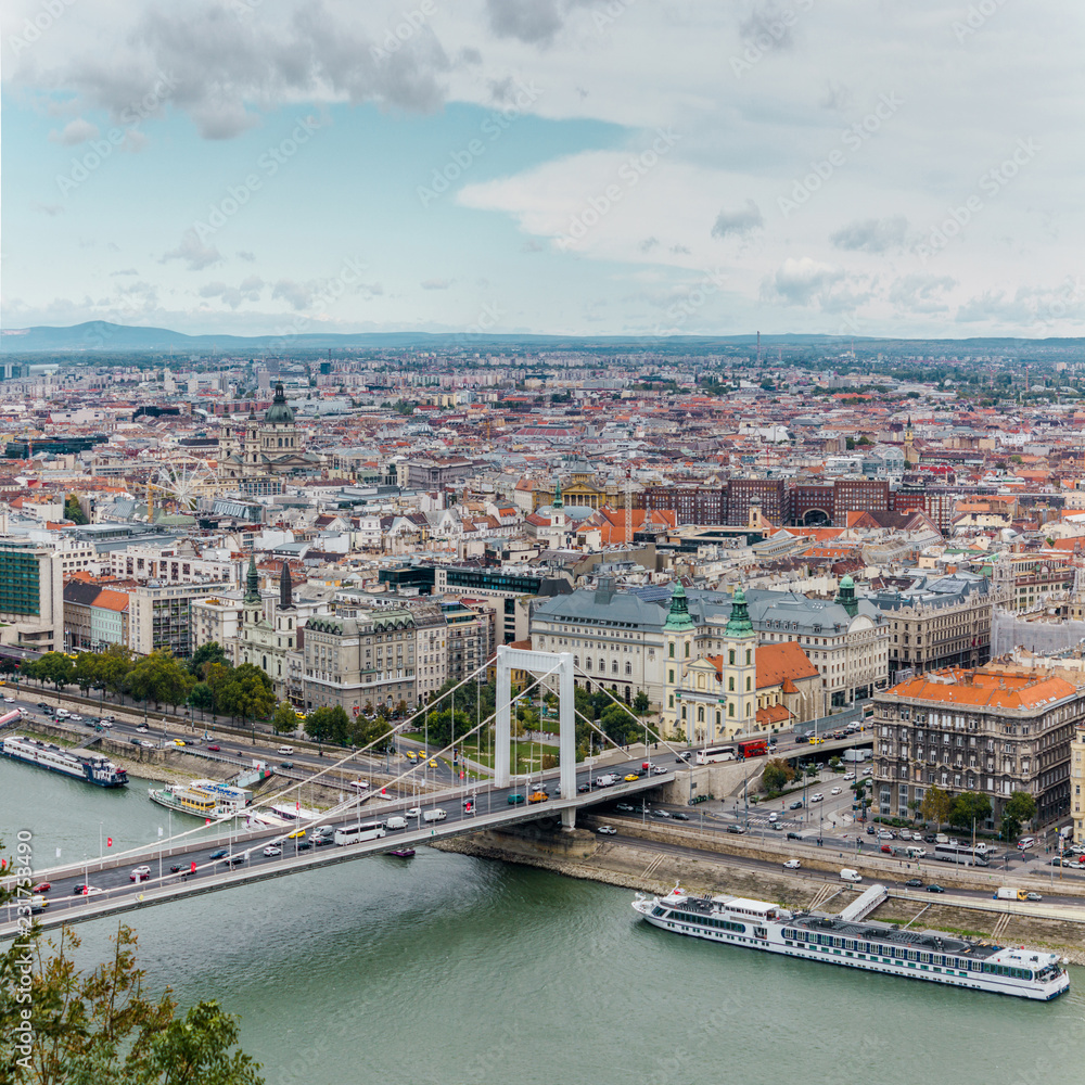 Obraz premium Budapest bridge skyline panorama