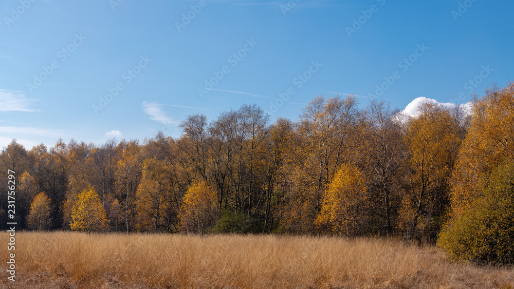 Schwarzes Moor - Rhön