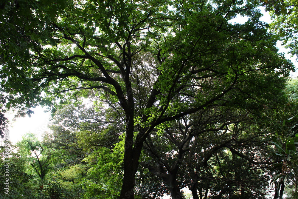 Obraz premium Seights