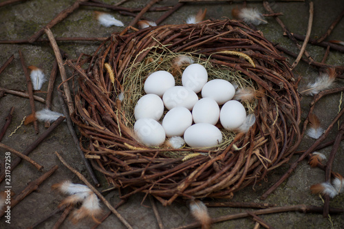 White eggs in the hay in the nest