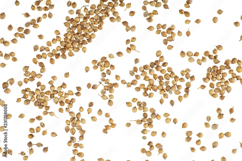 Coriander seeds isolated on white background, top view. Coriander seeds isolated on white background, top view.