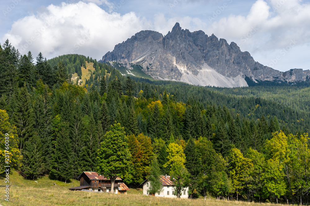 House near a forest below a mountain in the Dolomites, Italy.