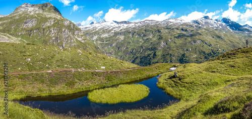 Panorama view of high alpine landscape around Grossvenediger. Green grass, alpine stream, creek or lake. High alpine peaks and summits with snow.