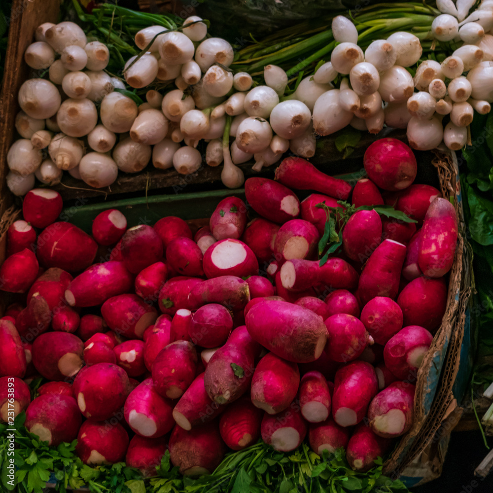 Background with fresh radishes and onions Background with fresh radishes and onions