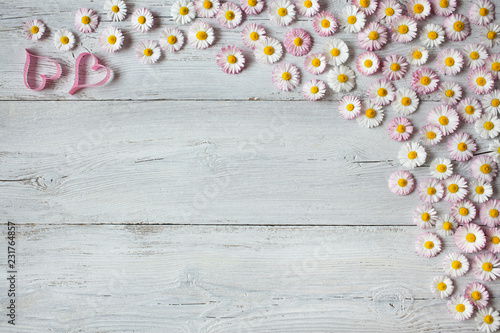 Wooden light spring-summer background with daisies and hearts