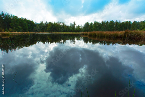 Nature Reserve Drouwenerveld photo