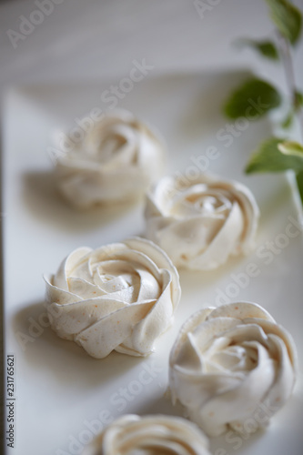 White zephyr roses