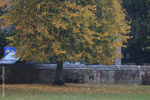 Salisbury, Stonehenge, Windsor, United Kingdom photo