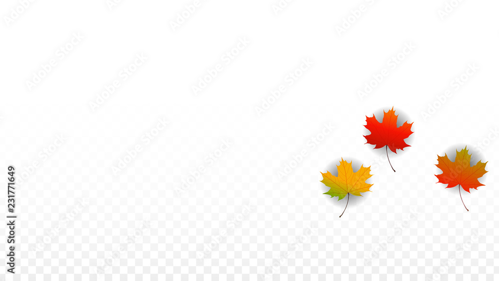 September Vector Background with Golden Falling Leaves. Autumn Illustration with Maple Red, Orange, Yellow Foliage. Isolated Leaf on Transparent Background. Bright Swirl. Suitable for Posters. September Vector Background with Golden Falling Leaves. Autumn Illustration with Maple Red, Orange, Yellow Foliage. Isolated Leaf on Transparent Background. Bright Swirl. Suitable for Posters.
