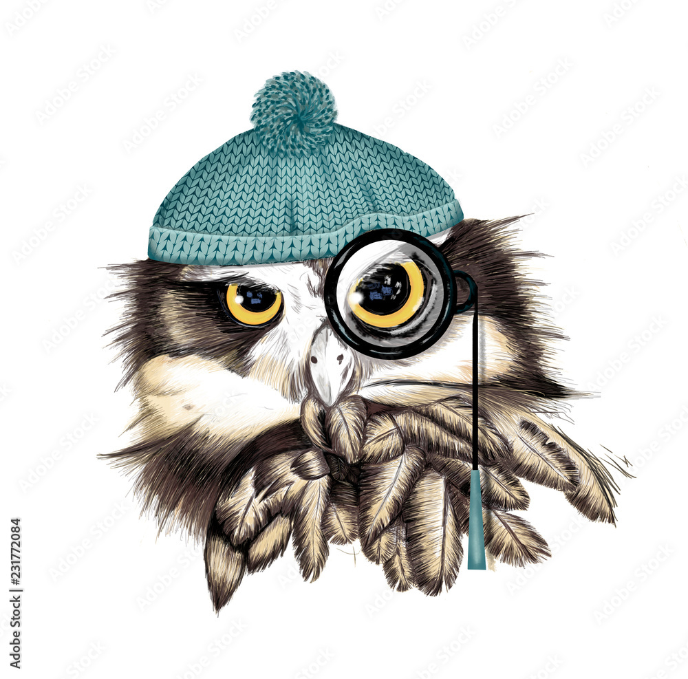 Fototapeta premium Owl with cap