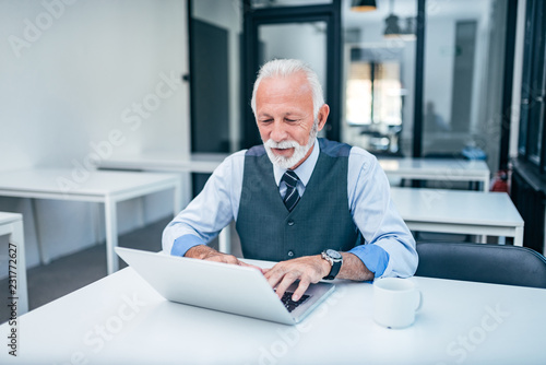 Elegant senior using laptop in modern office.