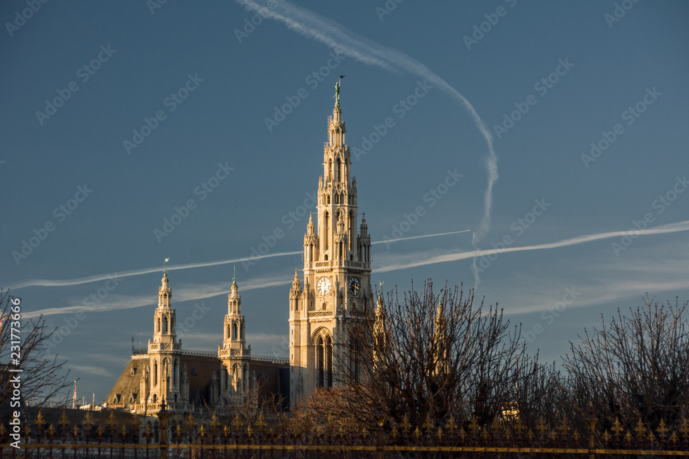 Fototapeta premium Vienna, Austria - January 4, 2014: Vienna City Hall. Neo-gothic building