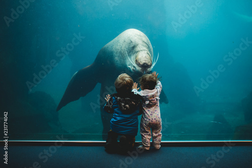 Making friends with sea life photo