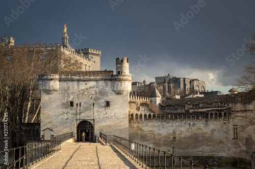 View of Medieval City Walls and Buildings in Avignon France