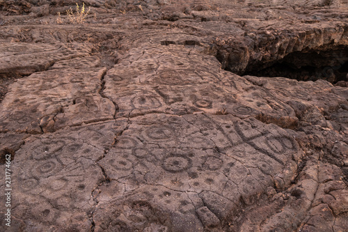 Petroglyphs in Waikoloa Field, on the King's Trail ("Mamalahoa"), near Kona on the Big Island of Hawaii. Carved into volcanic rock, the earliest of these carvings are more than a century old. 