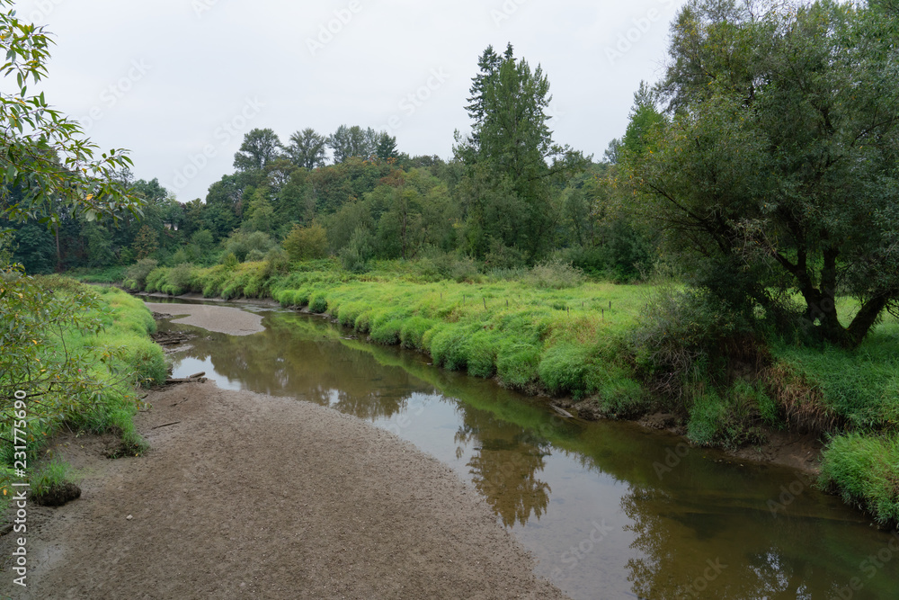 Fototapeta premium Green Space with Trees and River in Canada