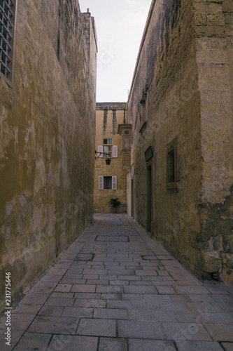 The old town of Mdina  Malta