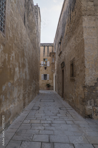 Fototapeta Naklejka Na Ścianę i Meble -  The old town of Mdina, Malta