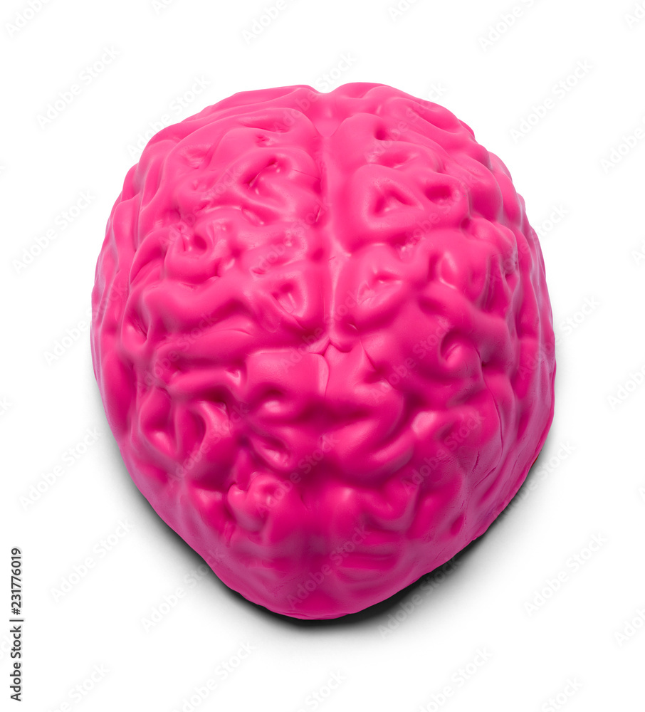 Brain Brain
