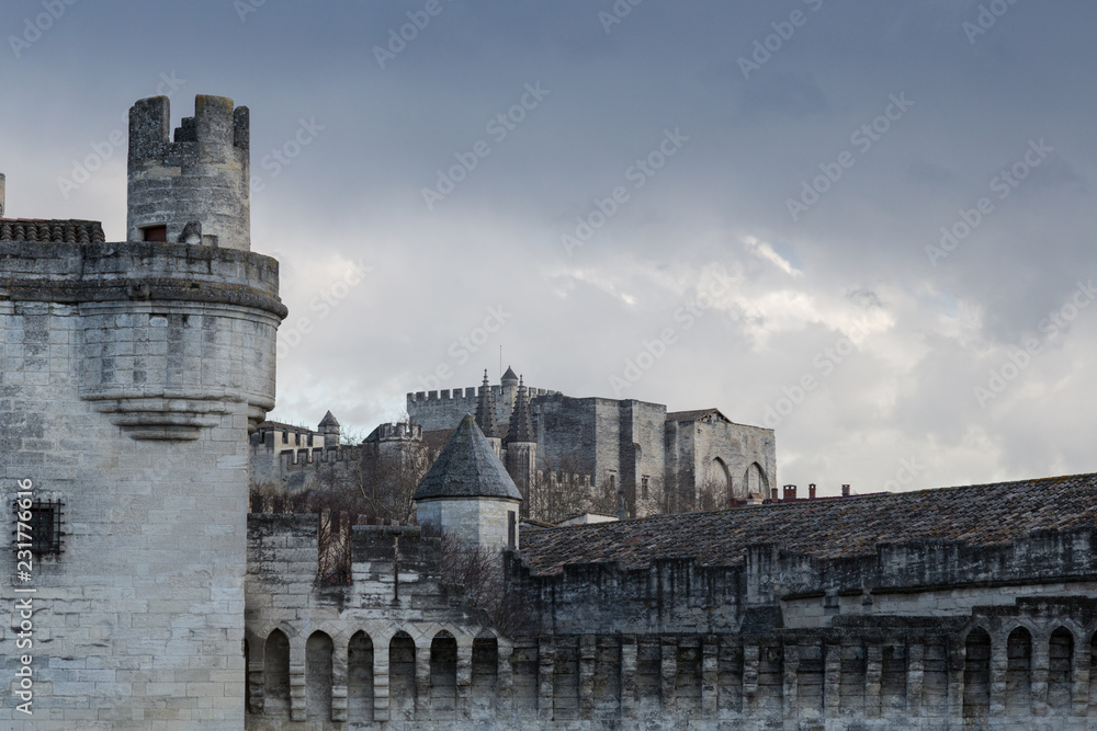 View of Medieval City Walls and Buildings in Avignon France