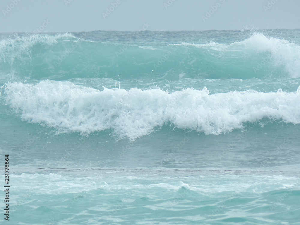Obraz premium wave on the beach