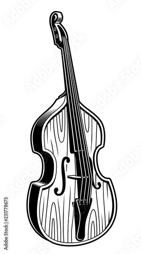 Vector illustration of double bass.