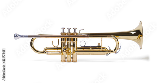 Trumpet Side View