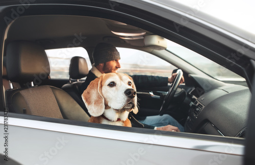 Man enjoying the modern car driving with his beagle dog sitting on the co-driver passenger seat. photo