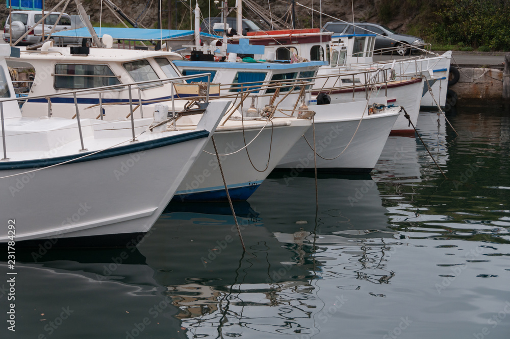 Yachts and boats at moorage, on berth