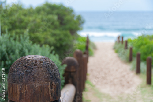 Wooden poles to beach entrance. Summer background