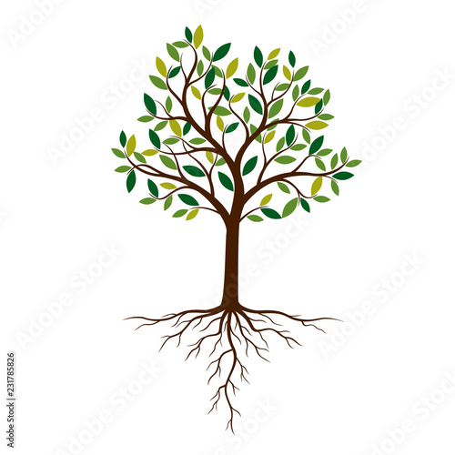 Color Tree and Roots. Vector Illustration.