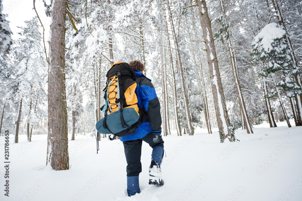 Young male mountain climber hiking through deep powder snow in a forest, wearing heavy backpack with camping gear. Rear angle view.
