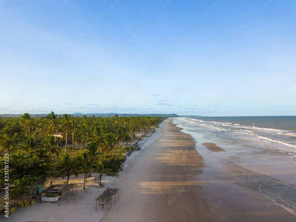 Drone aerial view beach with coconut trees