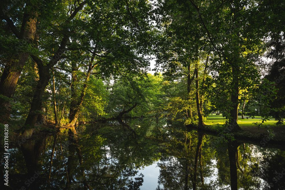 Obraz premium Waldsee