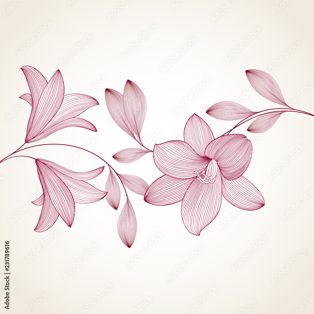 Spring background with lily flowers.