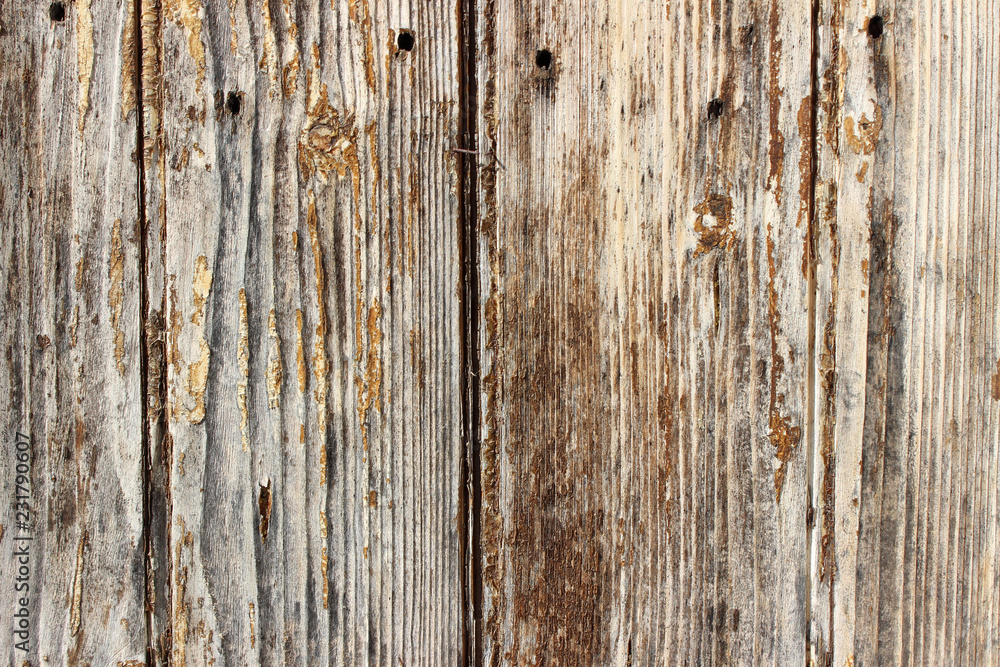 Old historical weathered wooden door vertical lines detail markings cracks surface texture background close up nails Old historical weathered wooden door vertical lines detail markings cracks surface texture background close up nails