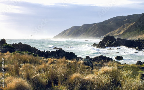 landscape image of the rocky coastal terrain of Cape Palliser, New Zealand.