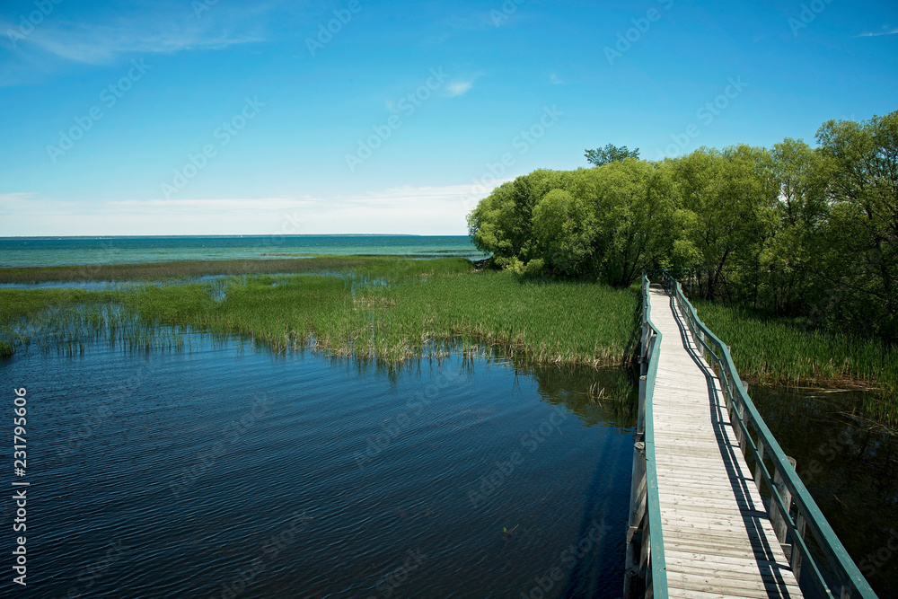 Bridge Lake Michigan