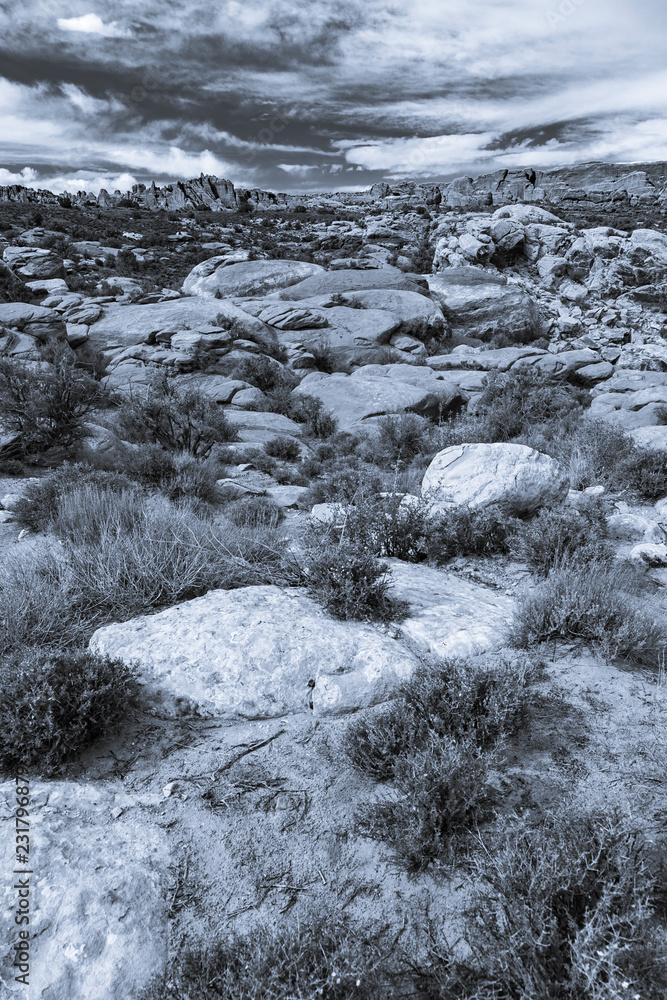 High Desert High Desert