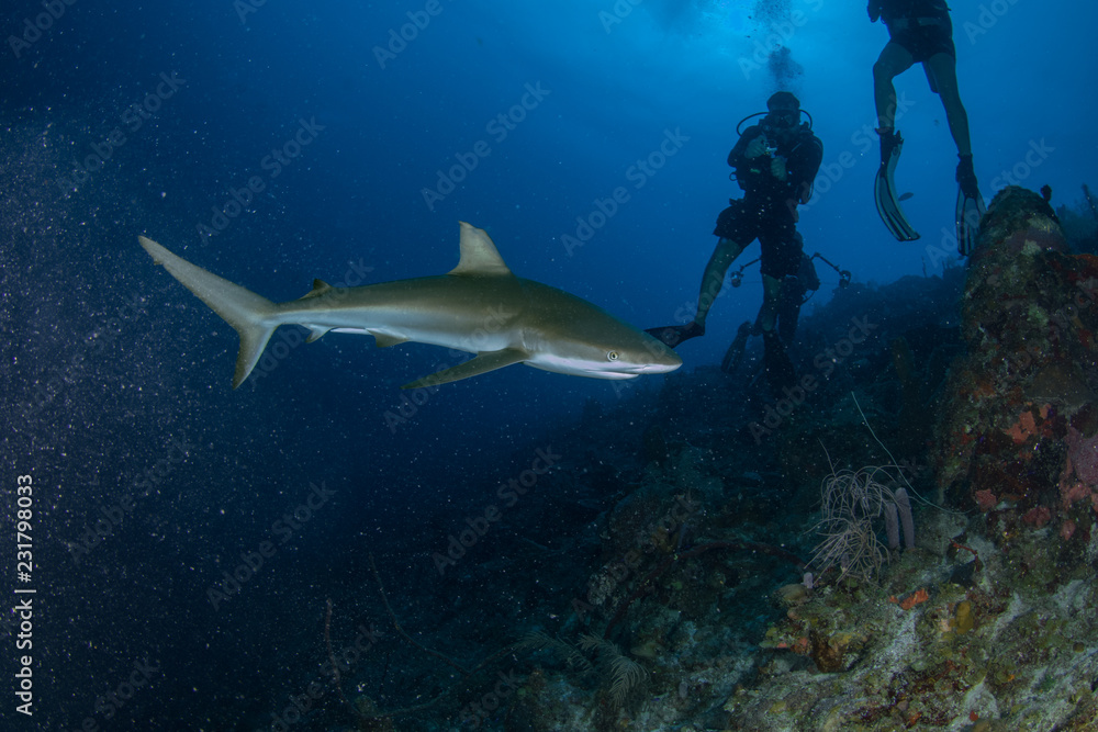 Fototapeta premium Mar Vermelho - Maio 2018