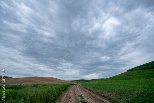 dirt road and cloudy sky