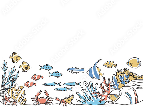 水中の魚たち