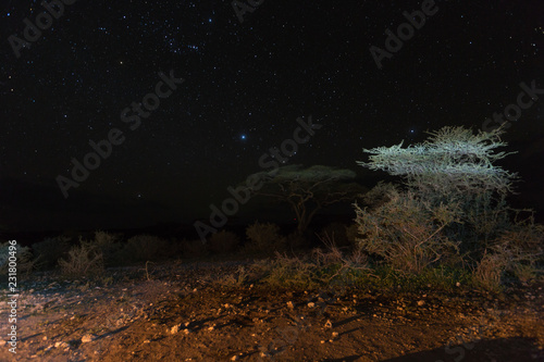 Fototapeta Naklejka Na Ścianę i Meble -  night sky