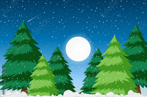 Snow forest background scene
