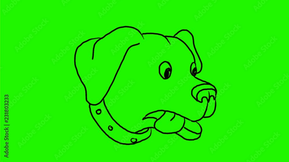2d Animation motion graphics showing drawing of a Labrador Retriever